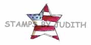 C-104-HK Flag Star